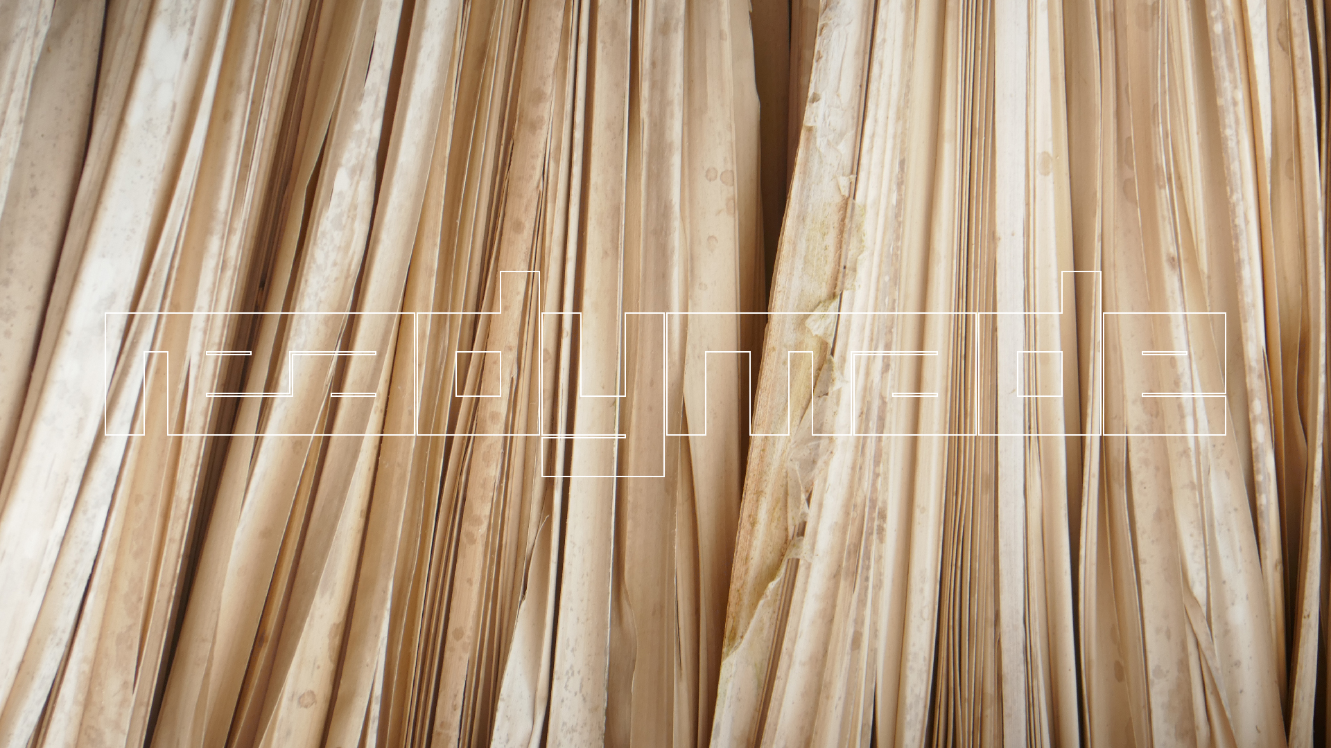 2022-10-29 13 Uhr 27 Playa Kalki (Foto, Video)